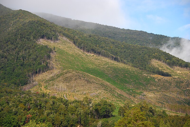 File:Deforestation NZ TasmanWestCoast 2 MWegmann.jpg