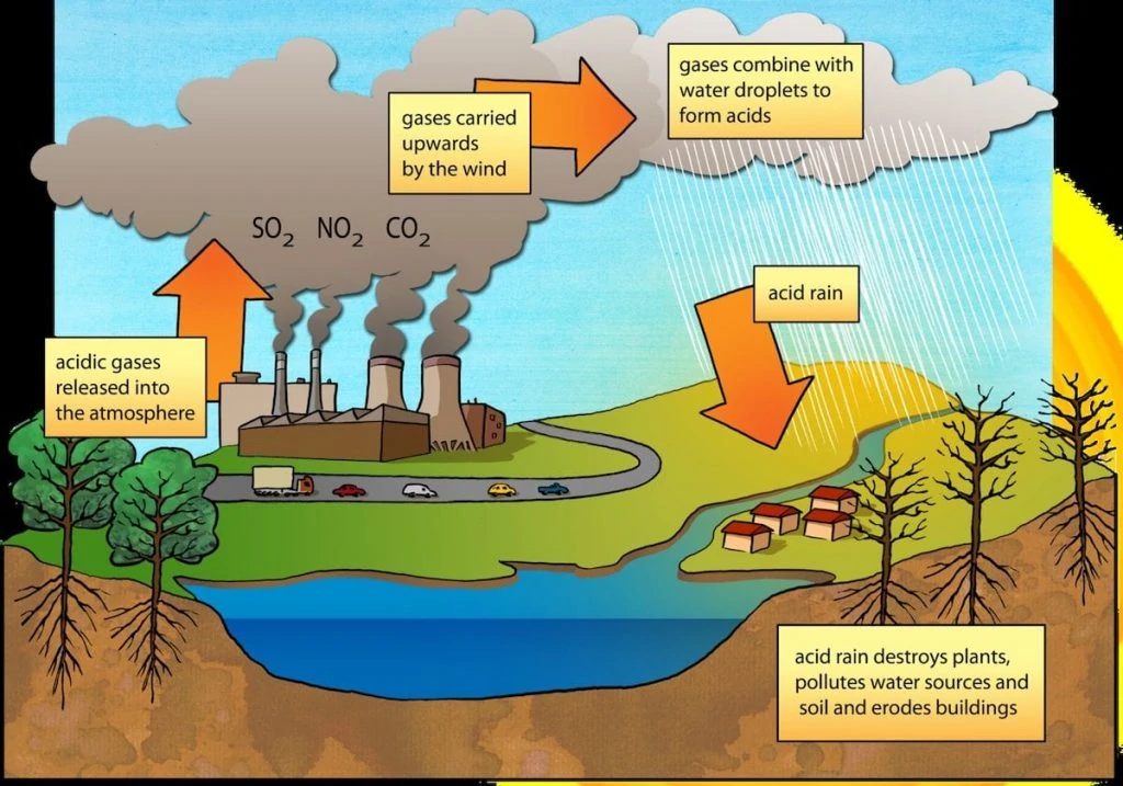 Acid rain diagram