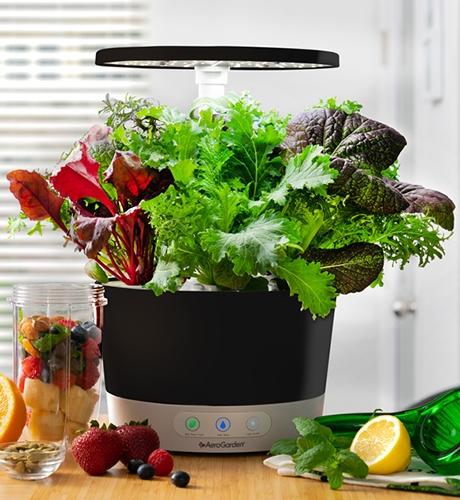 aerogarden Harvest 360 kit