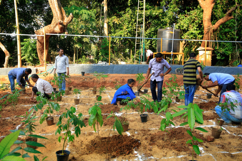people planting trees for an afforestation project