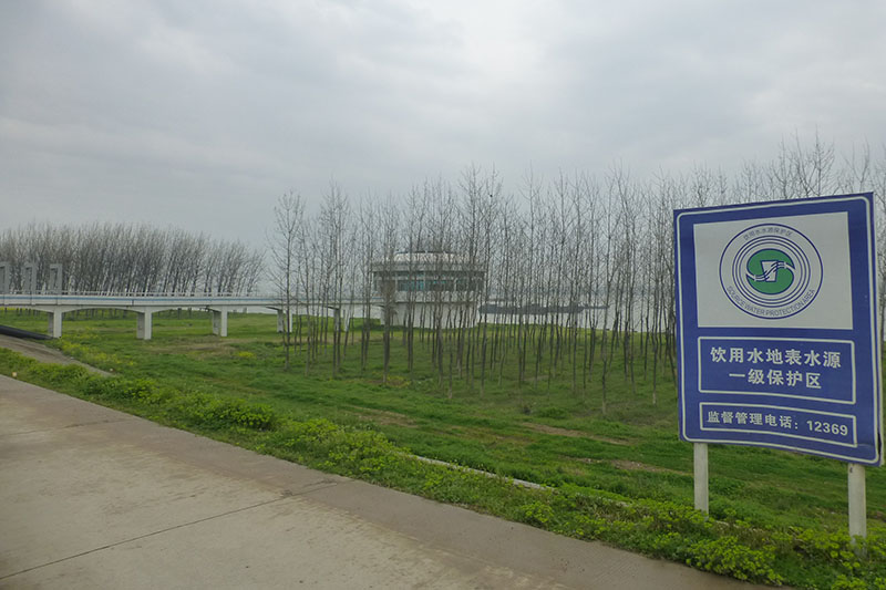 afforestation_ near the Yangtze river