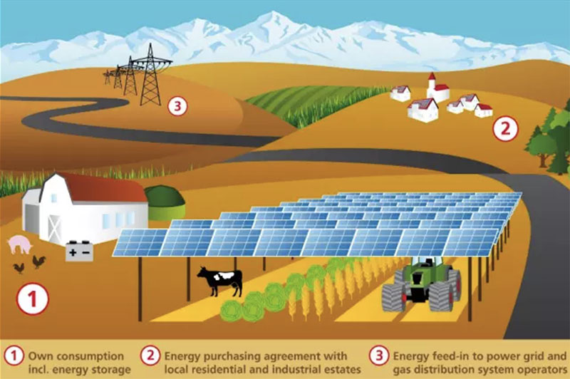 agrivoltaics concept infographics