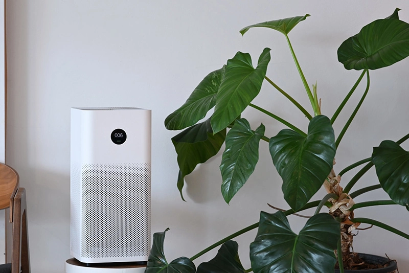 Air purifier next to an indoor plant
