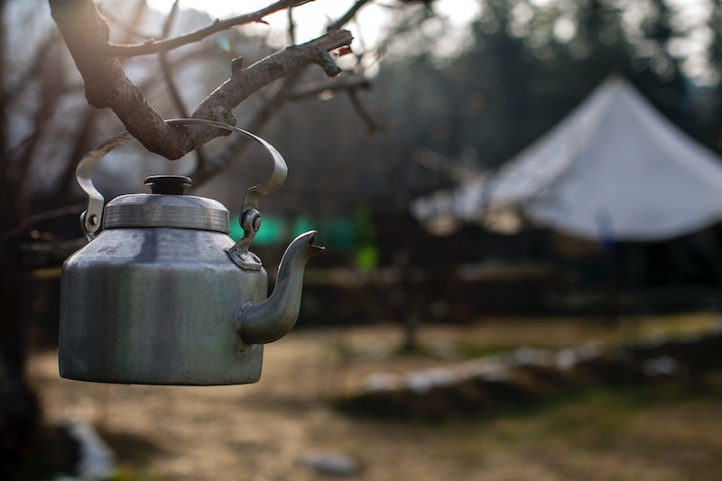 aluminum kettle hanging on branch