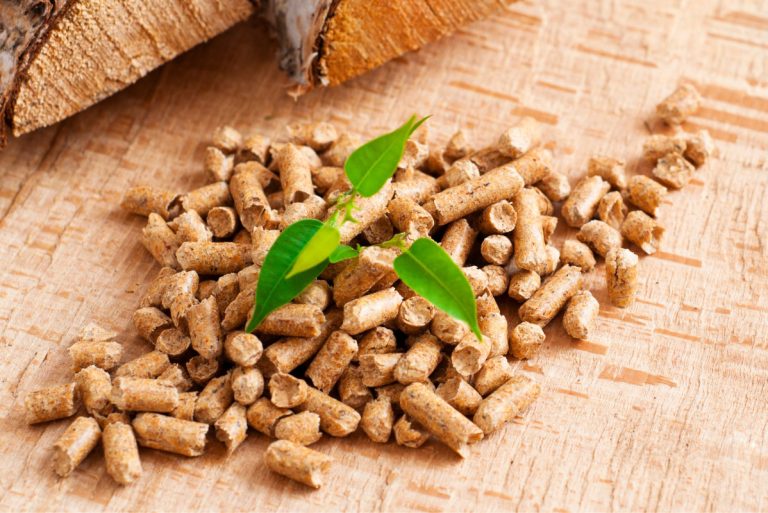 Are Wood Pellets Green? A Closer Look at This Sustainable Fuel Source