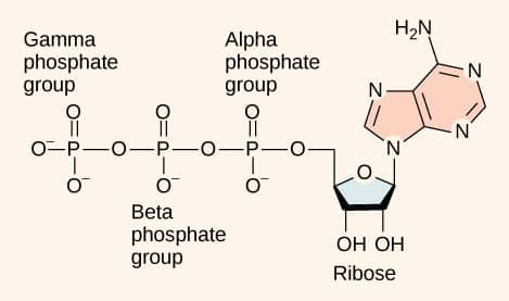 energy coupling