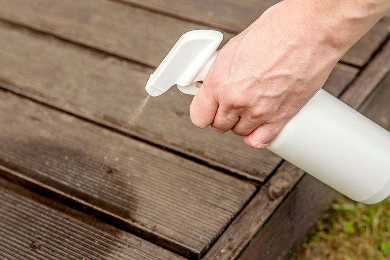 homemade natural bee repellent in a spray bottle