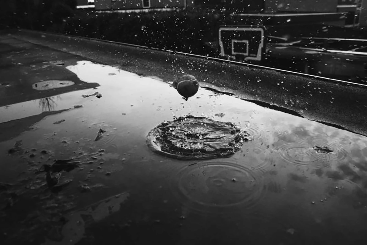 Greywater Systems for Homes