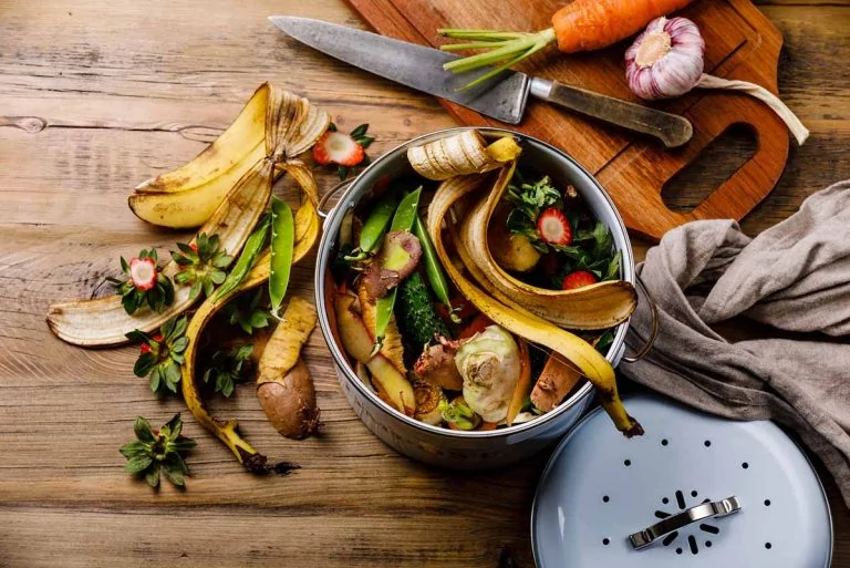 Best Indoor Compost Bins for 2025