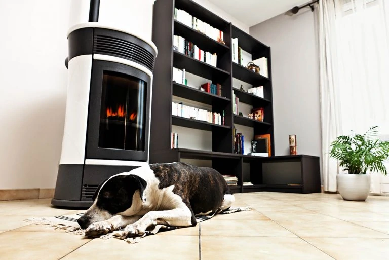 The Best Small Pellet Stoves for 2025