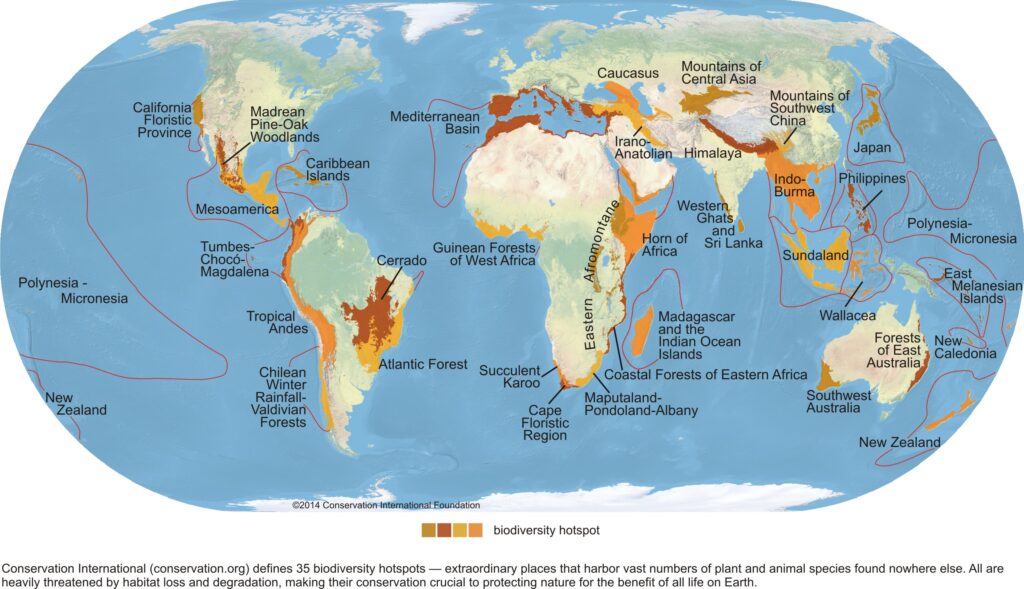 a map of biodiversity hotspots