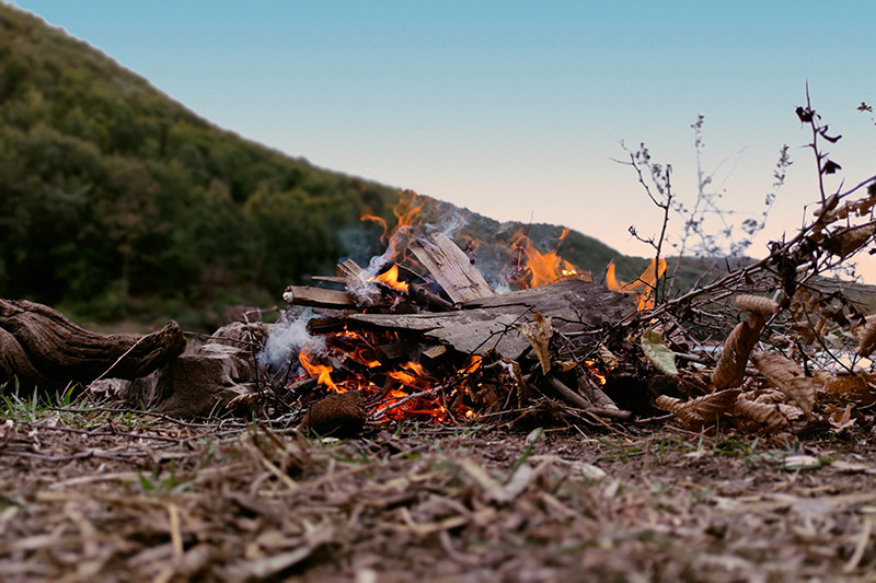 burning dry wood on ground