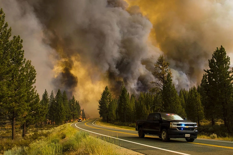a car on a road with forest wildfire on the background
