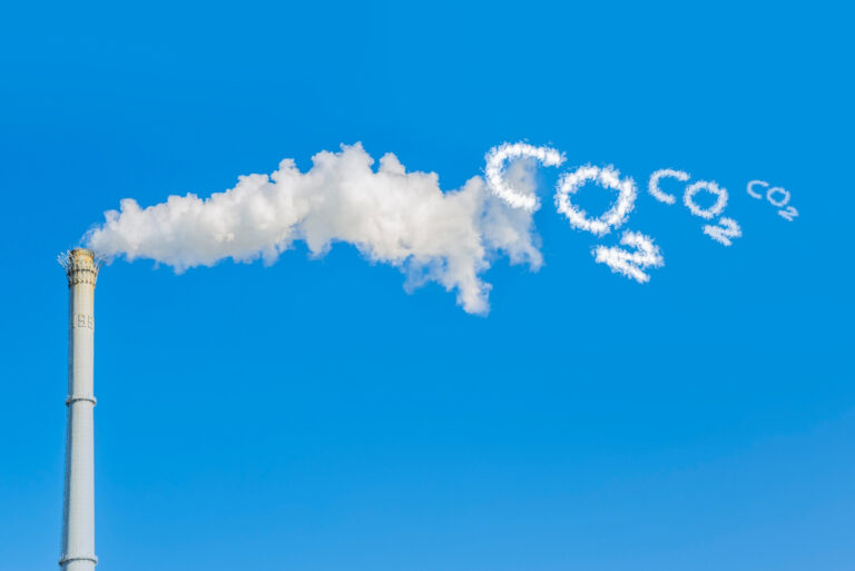 Carbon Cycle Steps: What is the Carbon Cycle and How Does It Work