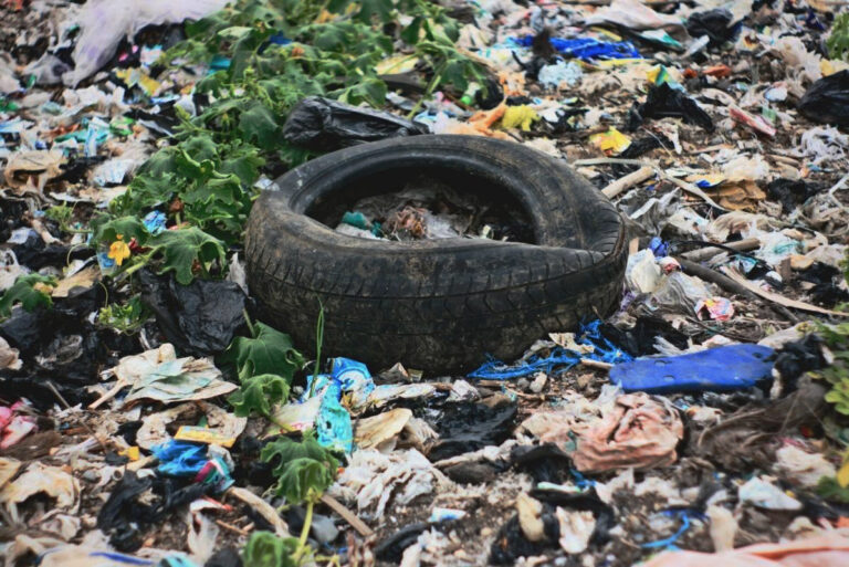 What Are the Causes and Effects of Land Pollution and How Can We Prevent It?