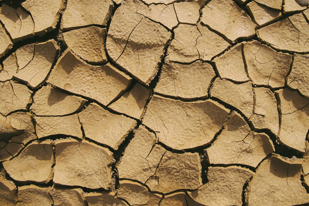 soil desertification
