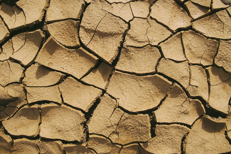 Causes and Effects of Soil Degradation, Plus How to Protect Our Precious Earth