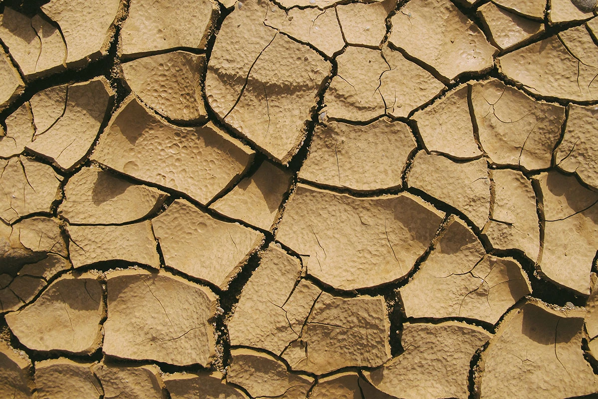 causes and effects of soil degradation