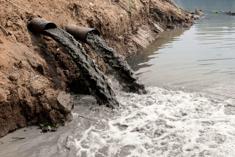The Main Causes of Water Pollution and How They Affect Us All
