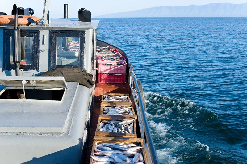 commercial fishing boat