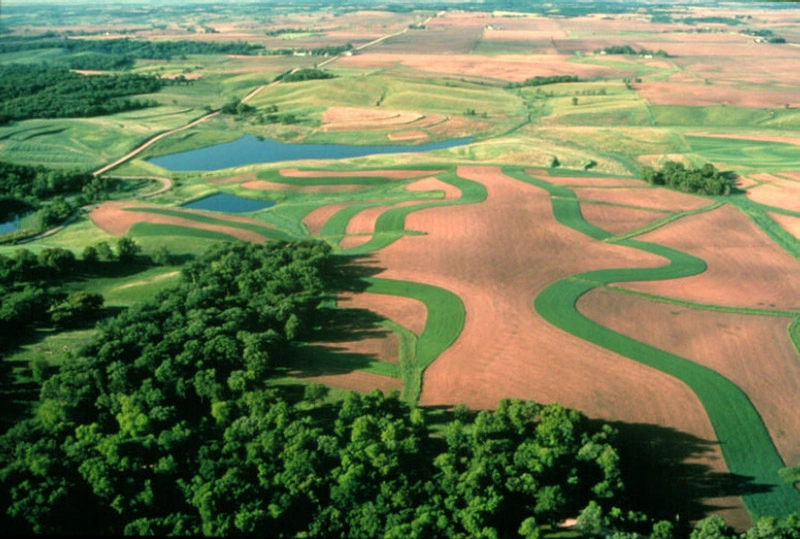 contour buffer strips of farmland
