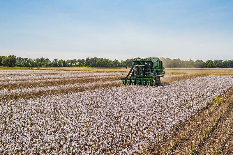 John Deere cotton picker machine in field