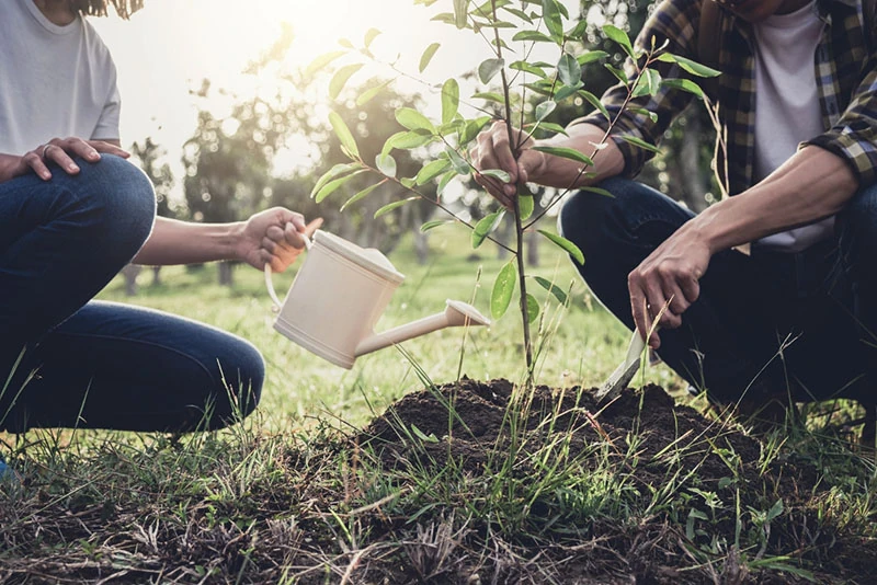 man and woman planting a tree