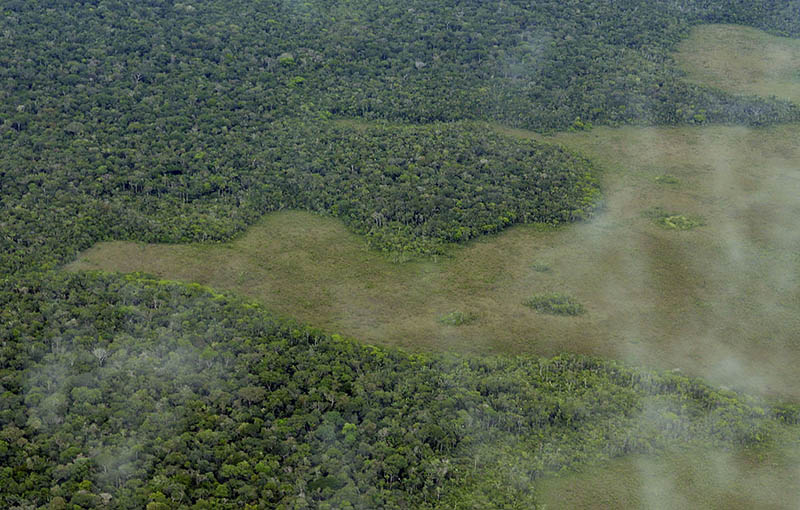 a view of Amazon rainforest with parts of deforestation