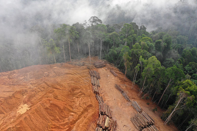 aerial view of the deforestation
