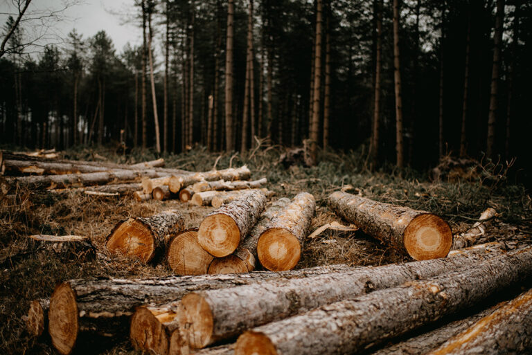 Depletion of Natural Resources: 11 Natural Resources That Show the Scale of the Problem