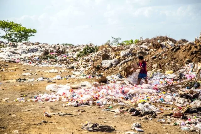 Non-Biodegradable vs Biodegradable Material: What is the Difference?