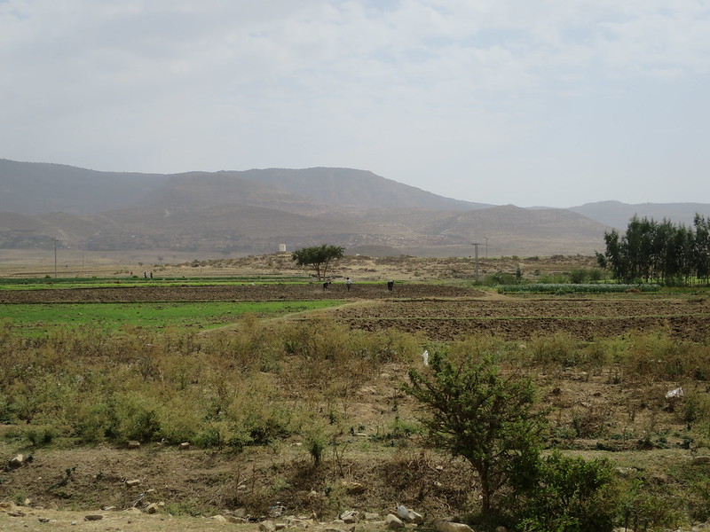Green spots amidst the arid landscape in Ethiopia