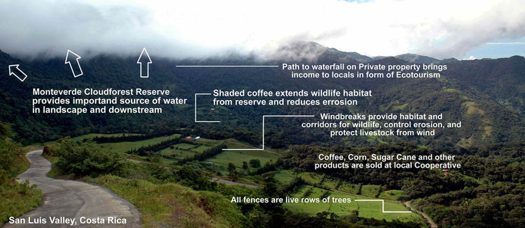 an aerial view of an agricultural landscape in Costa Rica