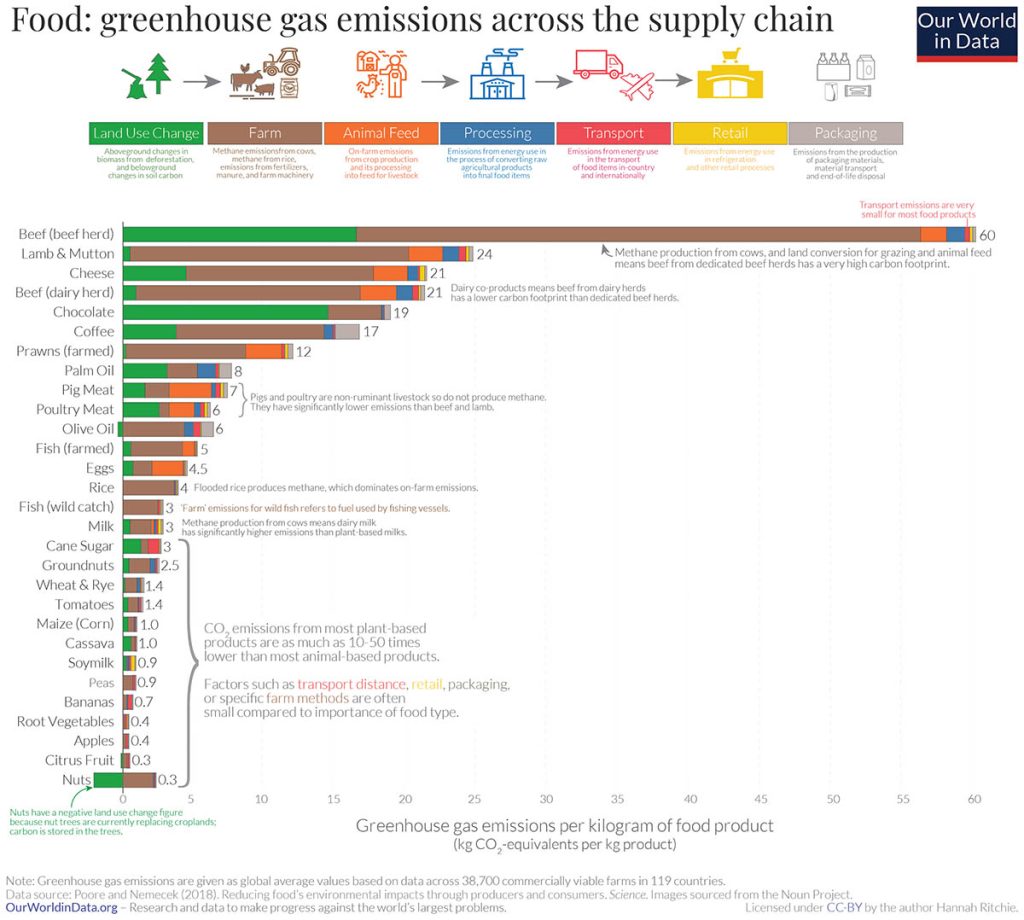 Environmental impact of food by life cycle stage infographic