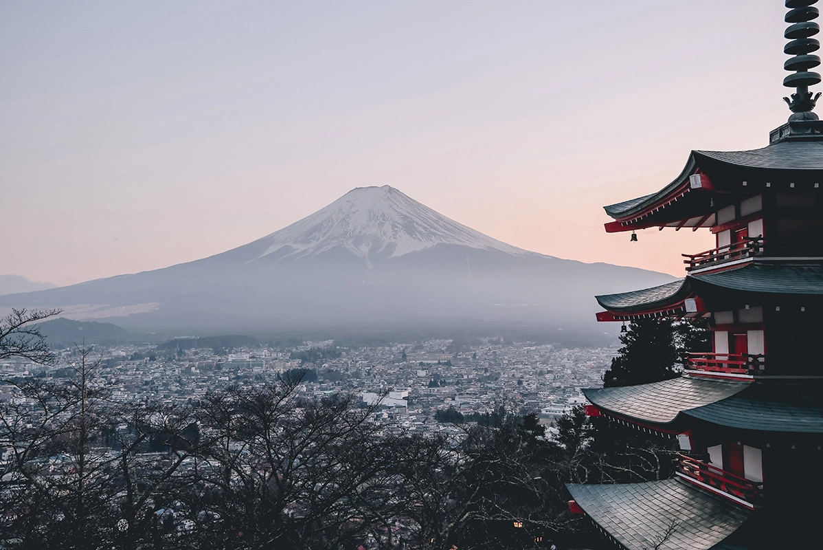environmental issues in japan