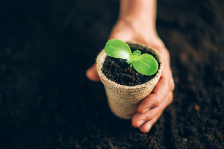 20 Examples of Sustainability That Are Impacting the World Right Now!