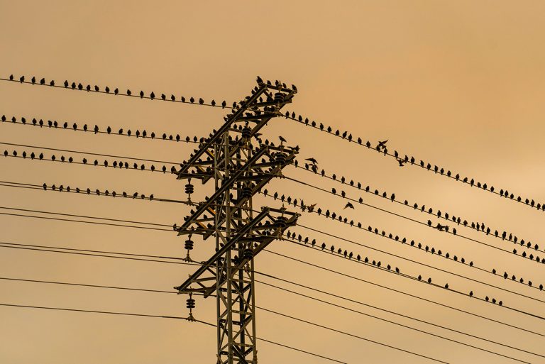 30 Facts about Electricity that Everyone Should Know