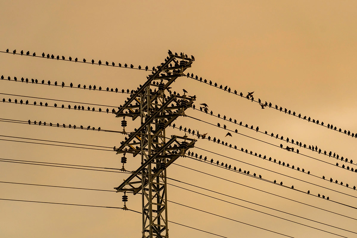 facts about electricity
