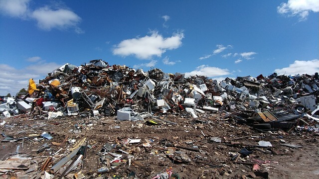 53 Important Facts About Landfills You Need to Know