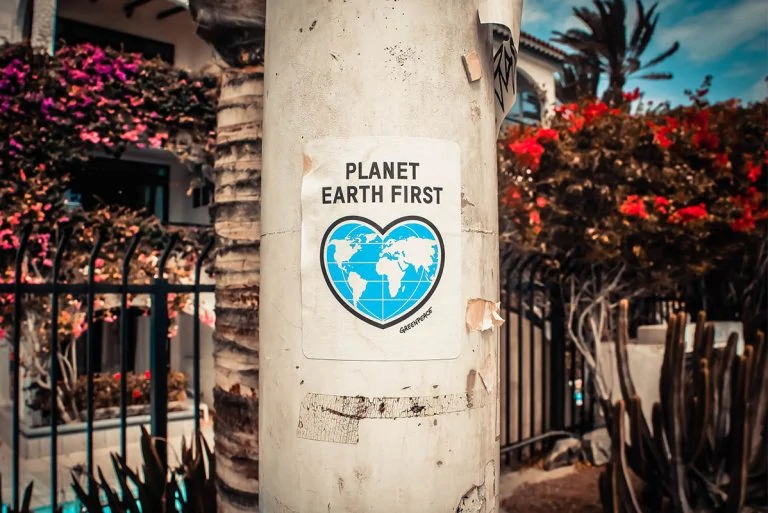 25 Facts About the Environment With Ways to Reduce Your Environmental Footprint