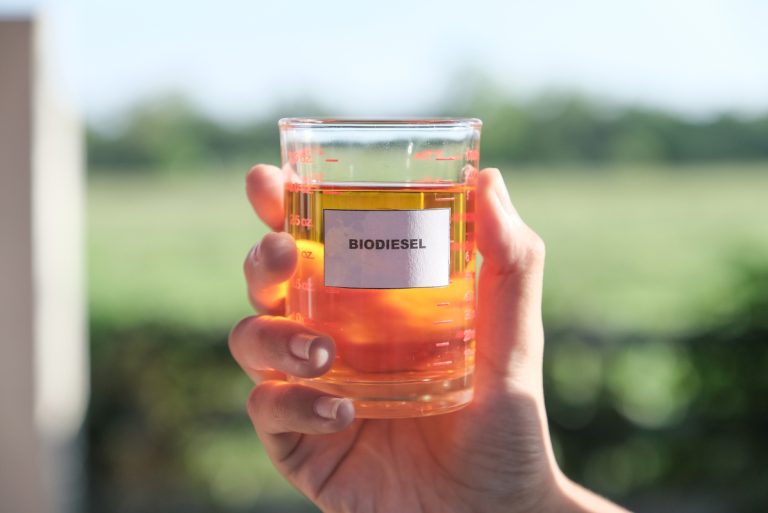 Facts About Biodiesel: Pros and Cons You Need to Know