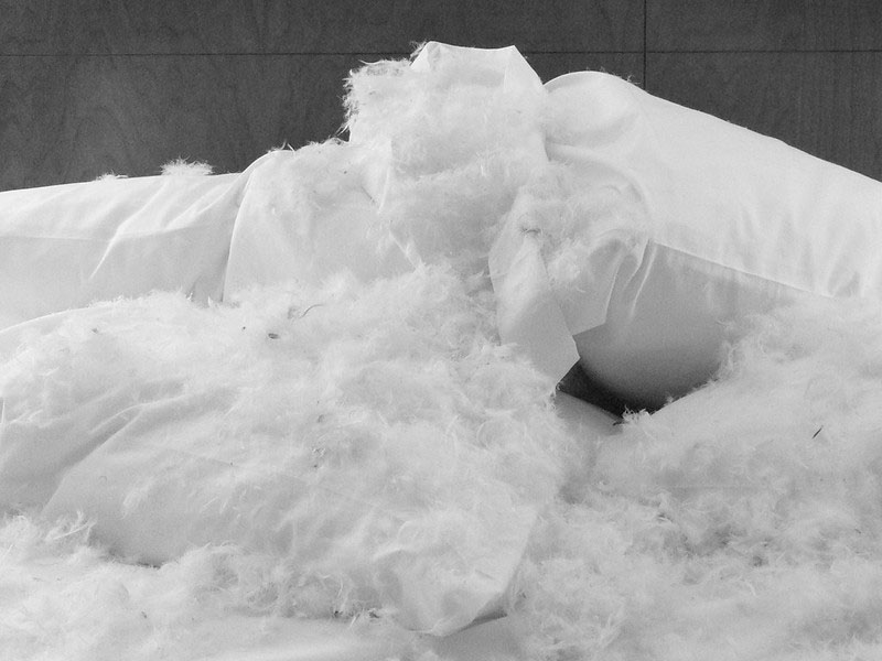 teared pillows with feathers coming out