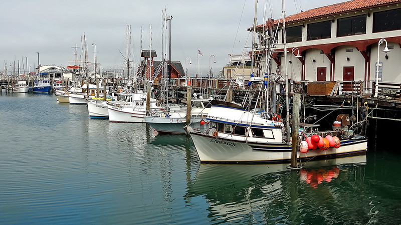 fishing boats
