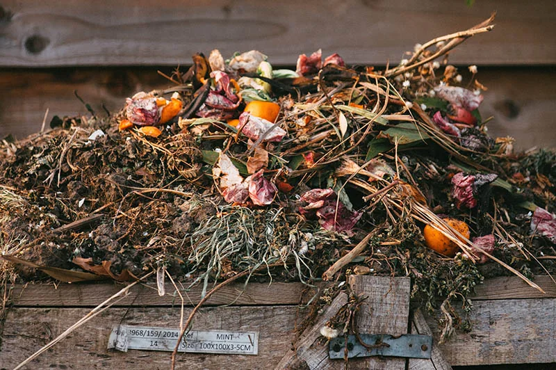 a pile of garden waste compost