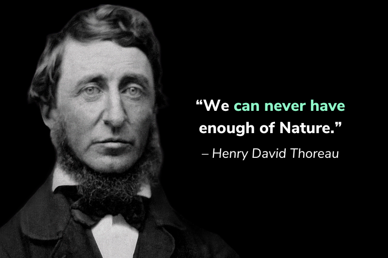 Henry David Thoreau quote about sustainability
