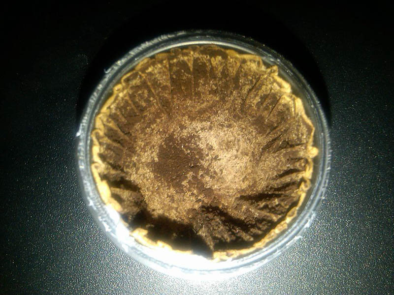 the inside of a commercially-prepared K-Cup which has had its foil lid and its used coffee removed