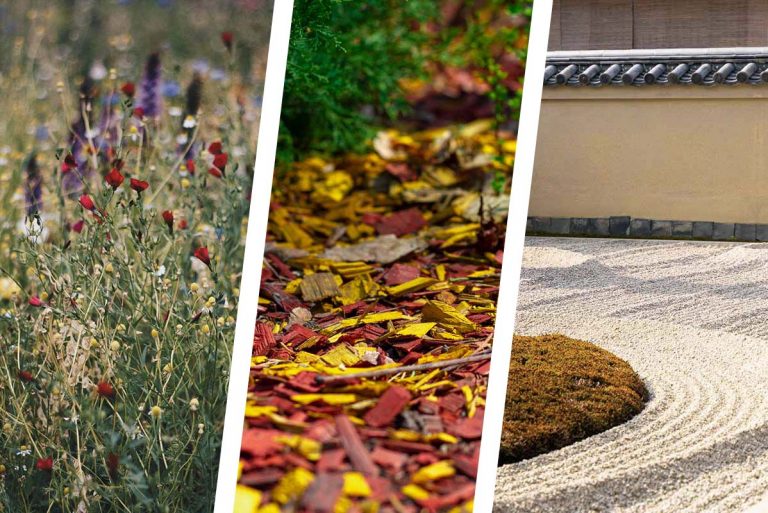 The Best Lawn Alternatives to Grass