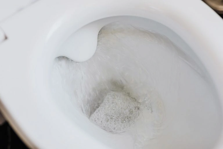 Low Flush Toilets: Pros, Cons, and What to Look For