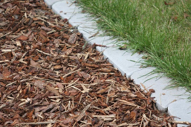 bark chips used as mulching