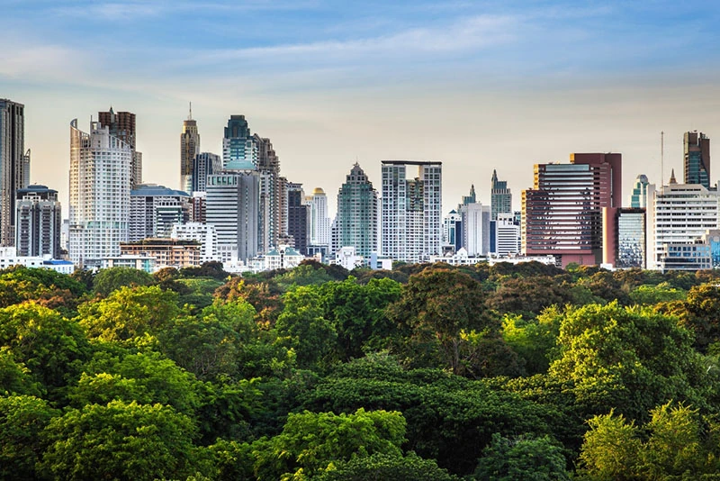 cityscape in natural environment